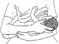 Installation du bébé