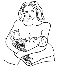 Allaitement jumeaux dessin 2
