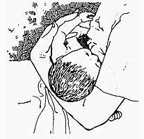 position du bébé au sein