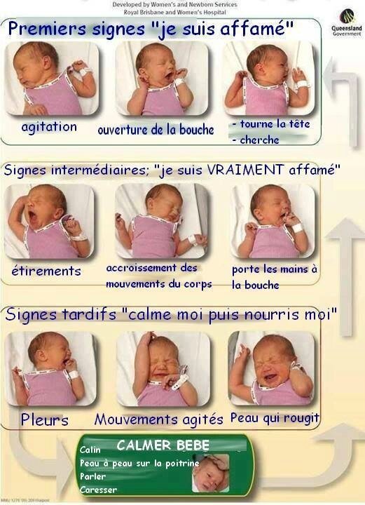 Allaitement A La Demande Aux Signes D Eveil