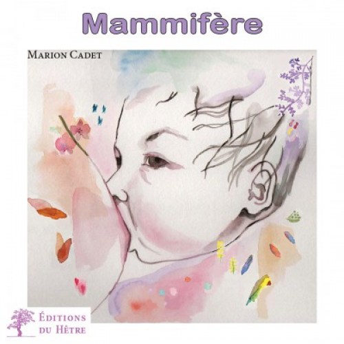 Mammifère Mammifère