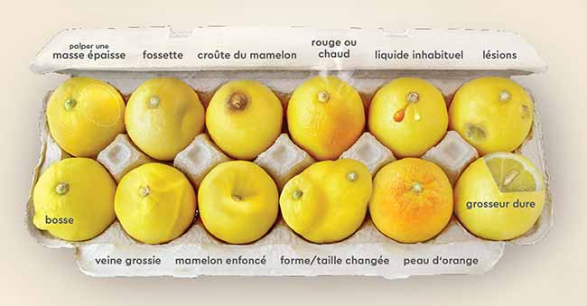cancer du sein citrons