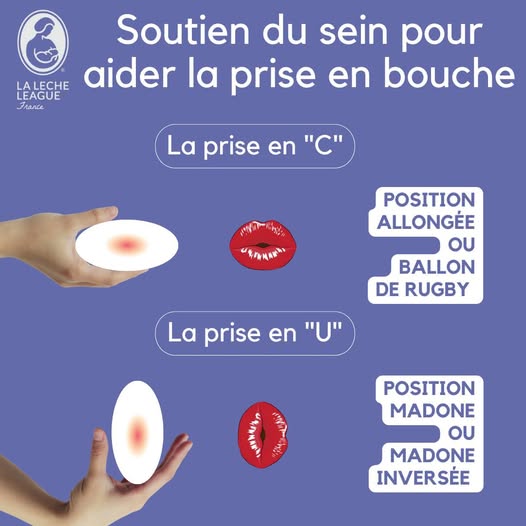 prise du sein