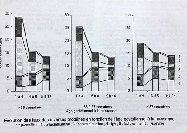 proteines
