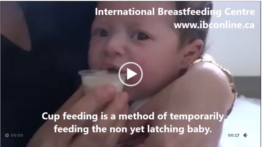 Quand Le Bebe Ne Prend Pas Encore Le Sein