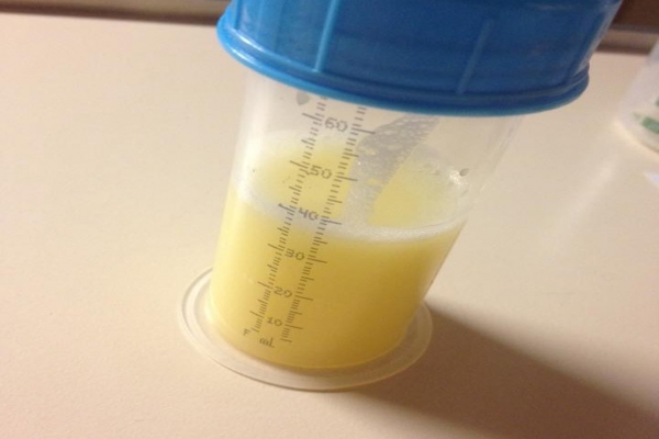 Le colostrum, de l'or liquide