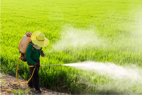 Allaitement, environnement, polluants, climat