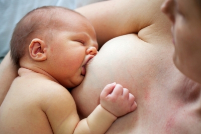 L'allaitement  commence avant la naissance