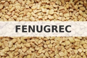 Impact du fenugrec, du gingembre et du curcuma sur la production lactée et la composition du lait