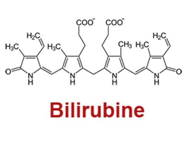 Allaitement, bilirubine et jaunisse